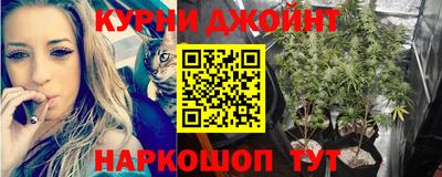 apvp Аргун