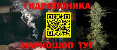 apvp Аргун
