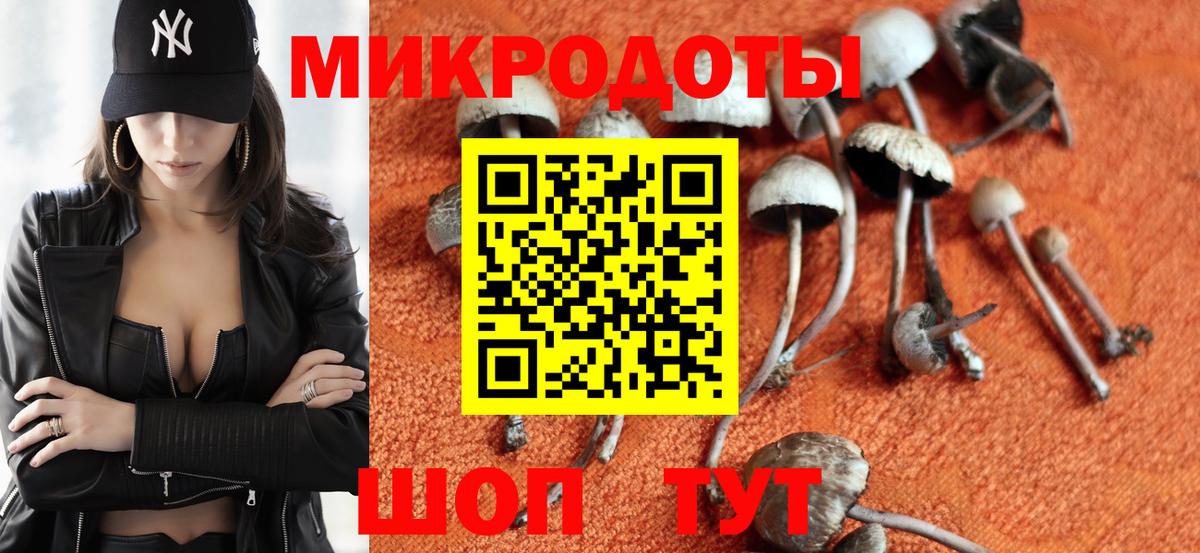 Галлюциногенные грибы мицелий Белово